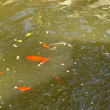 Trullo Le Casedde Di Donna Bice Сasa de vacaciones *